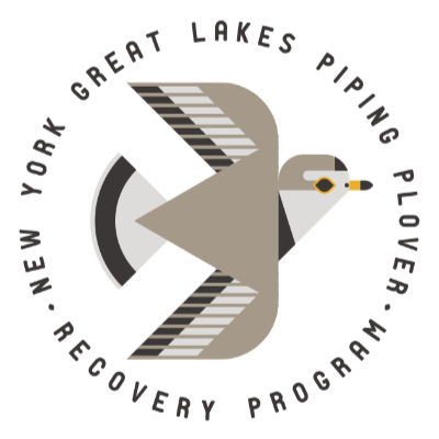 piping plover logo