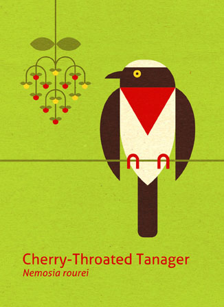 Scott Partridge - Illustration - Cherry-Throated Tanager