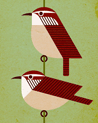 Scott Partridge - Illustration - Birdsong Project