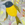bird window