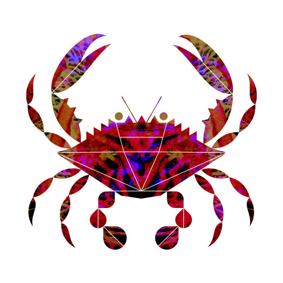 Scott Partridge - illustration - blue crab red