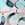 whale bird