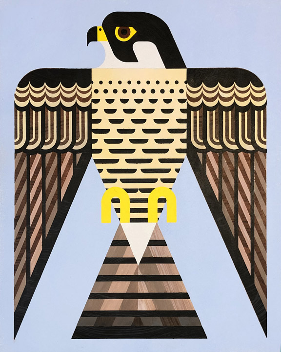 scott partridge - acrylic painting - peregrine falcon 16x20