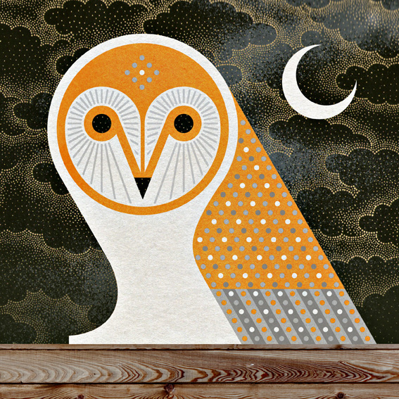 scott partridge - bird illustrations - terra maris - barn owl