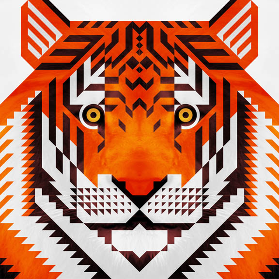 Scott Partridge - illustration - triagle tiger 2