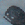 whale bird