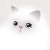 white cat