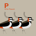 Scott Partridge - Illustration - A is for Avocet