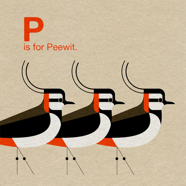 Scott Partridge - Illustration - A is for Avocet