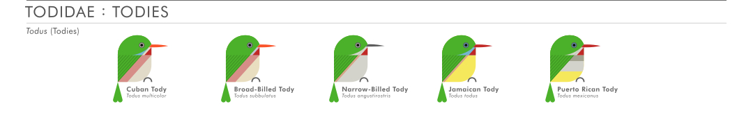 scott partridge - ave - avian vector encyclopedia - todies CORACIIFORMES- bird vector art