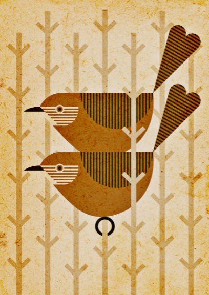 Scott Partridge - Illustration - Zapata Wren