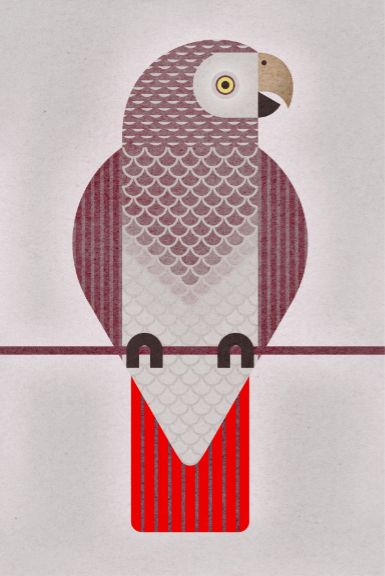 Scott Partridge - Illustration - Timneh Parrot