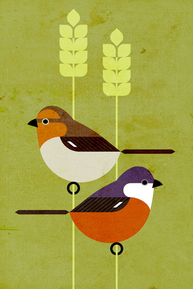 Scott Partridge - Illustration - Marsh Seedeater