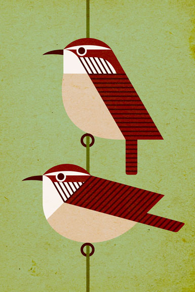 Scott Partridge - Illustration - Niceforos Wren