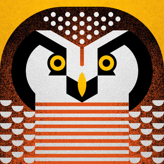 Scott Partridge - Illustration - Hawk Owl 