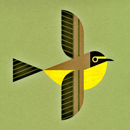 scott partridge - bird genoscape project illustrations
