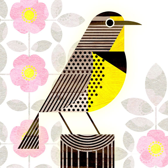 scott partridge - state bird and flower - Western Meadowlark and Wild Prairie Rose