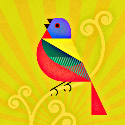 scott partridge - bird genoscape project - painted bunting