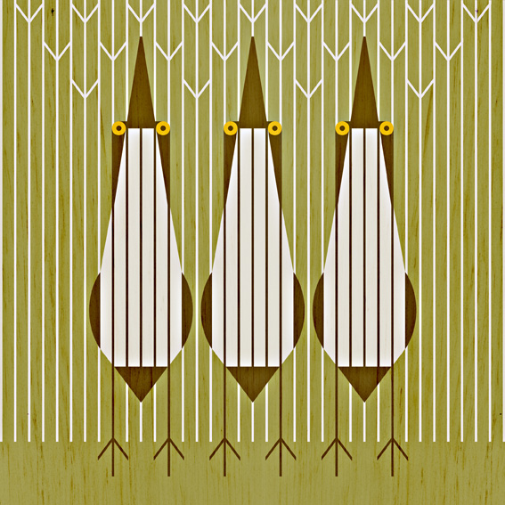 scott partridge - bird illustrations - terra maris - bittern