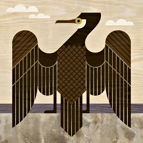 scott partridge - bird illustrations - terra maris - cormorant