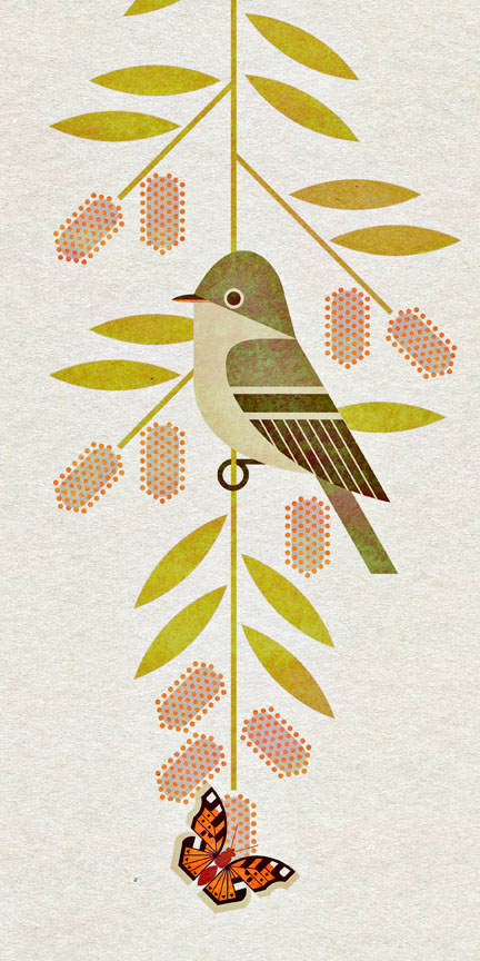 scott partridge - bird genoscape project - willow flycatcher