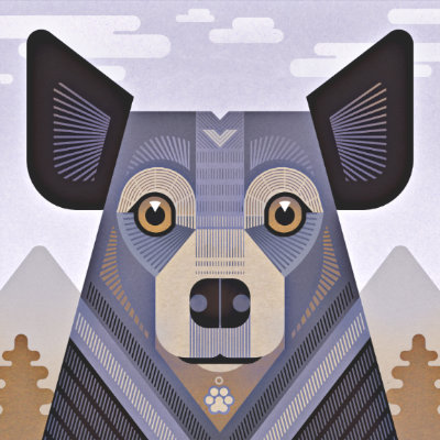 Scott Partridge - animal portrait - blue healer