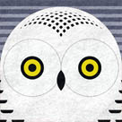 Scott Partridge - Illustration - North American Owls