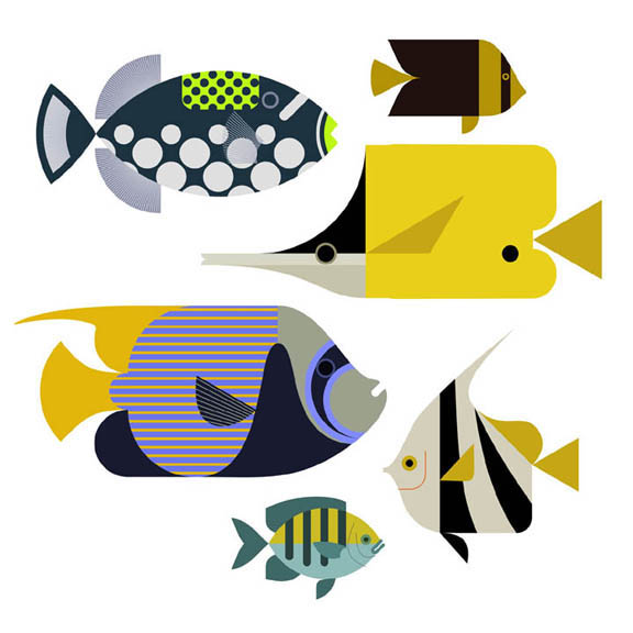 Scott Partridge - Illustration - reef fish series 