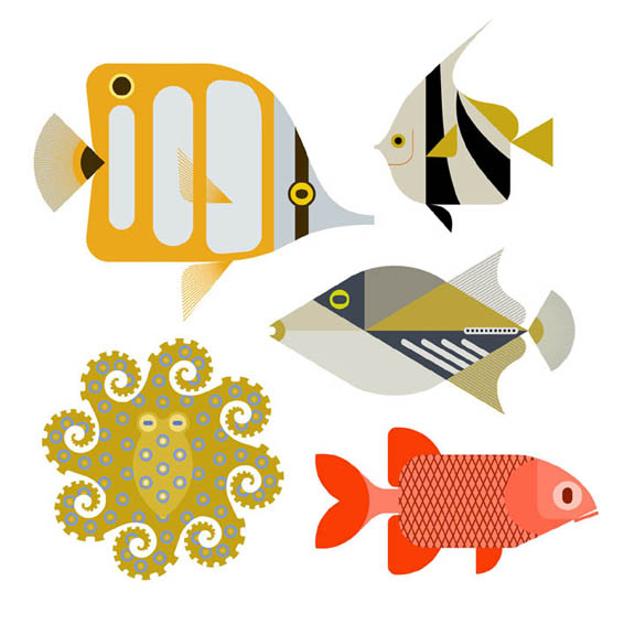 Scott Partridge - Illustration - reef fish series 