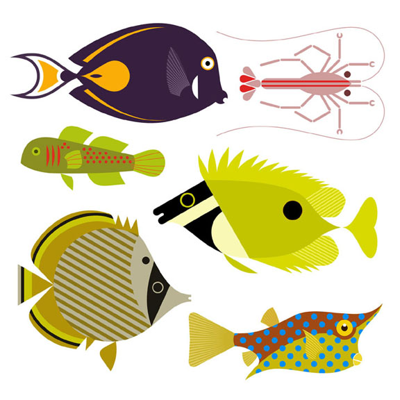 Scott Partridge - Illustration - reef fish series 