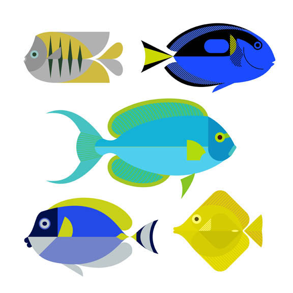 Scott Partridge - Illustration - reef fish series 