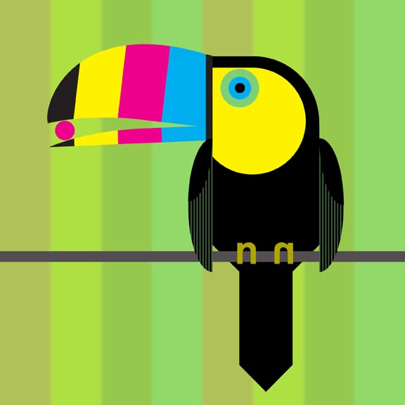 toucan